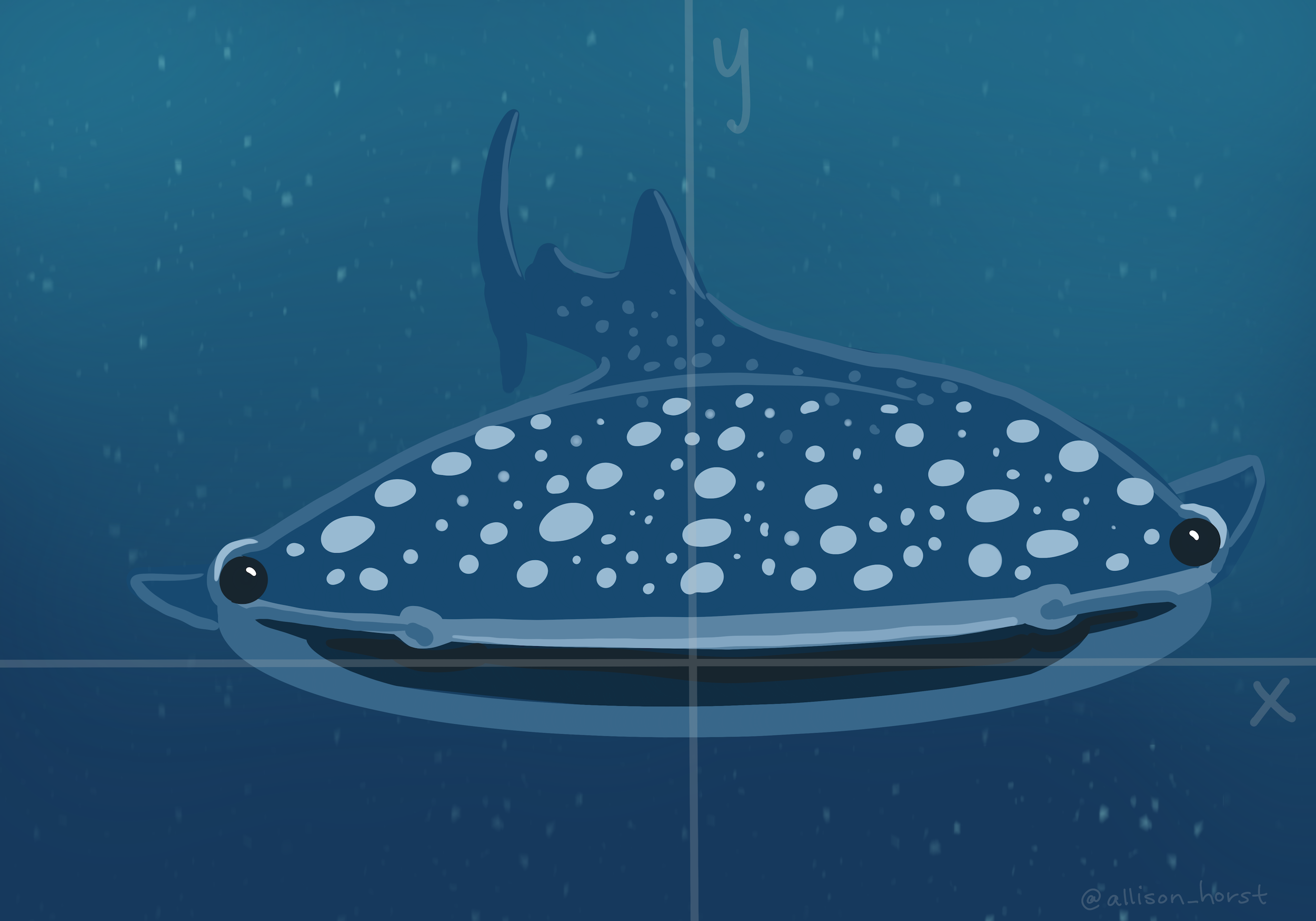 AIllustration of a whale shark, with the face directly facing the viewer. There are subtle x and y axes overlaid onto the illustration. The whale shark’s oblong mouth is oriented horizontally along the x-axis. The whale shark looks friendly and has a slight smile on its face.